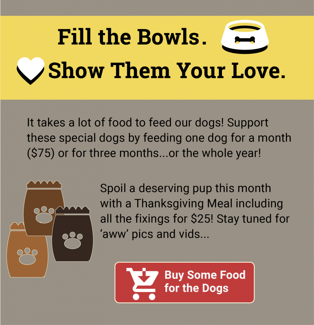 AAD-thanks-2024-prom-email-mobile1