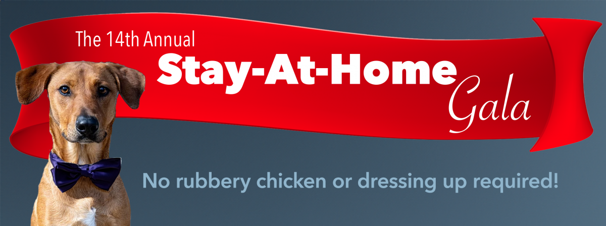 Stay-at-Home Gala